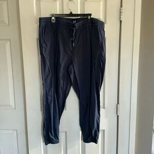 GAP Navy Ankle Pants